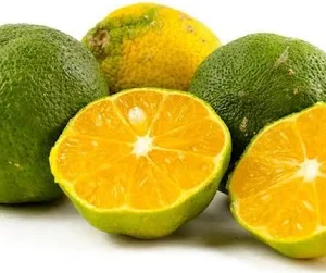 limón mandarino