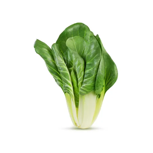 acelga