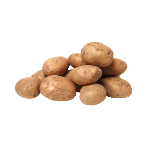papa pastusa