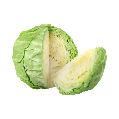 repollo