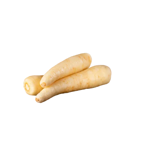 arracacha Apio