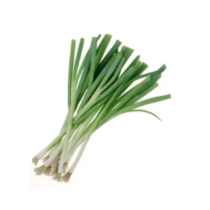 Cebolla Larga