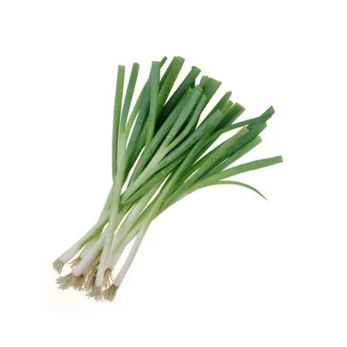 Cebolla Larga