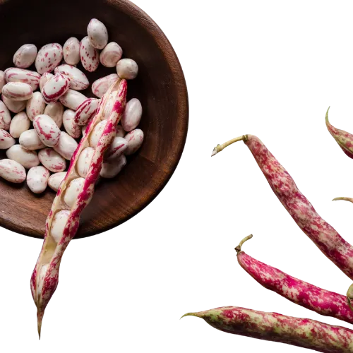 frijol en cascara