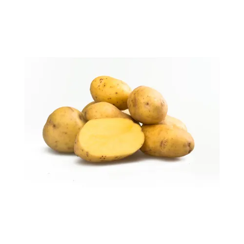 papa criolla