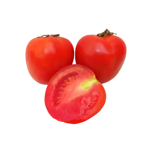 Tomate Chonto