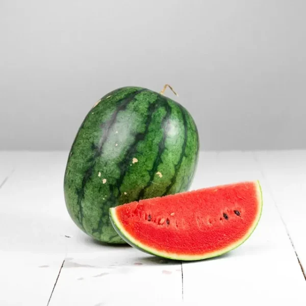 Patilla Libra - 2200