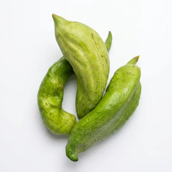 Pepino para relleno - Libra 4000